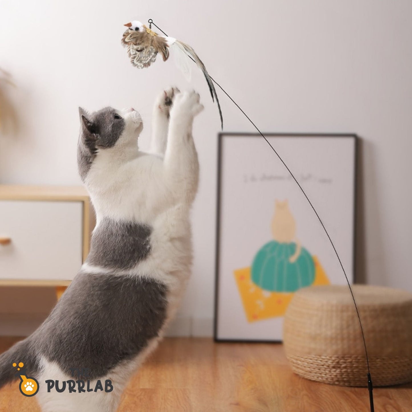 Interactive Cat Feather Toy