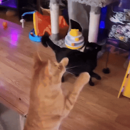 Interactive Cat Feather Toy